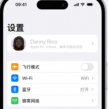 尉氏appleID维修服务iPhone设置中Apple ID显示为灰色无法使用 