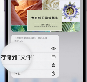 尉氏apple维修中心分享iPhone文件应用中存储和找到下载文件