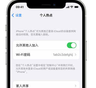 尉氏apple服务站点分享iPhone上个人热点丢失了怎么办 