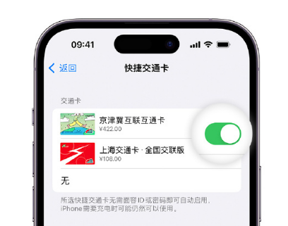 尉氏apple维修点分享iPhone上更换Apple Pay快捷交通卡手绘卡面 