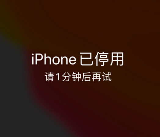 尉氏苹果手机维修分享:iPhone 显示“不可用”或“已停用”怎么办？还能保留数据吗？ 