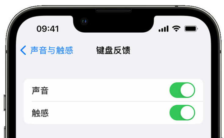 尉氏苹果手机维修分享iPhone 14触感键盘使用方法 