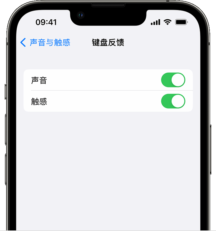 尉氏苹果14维修店分享如何在 iPhone 14 机型中使用触感键盘 