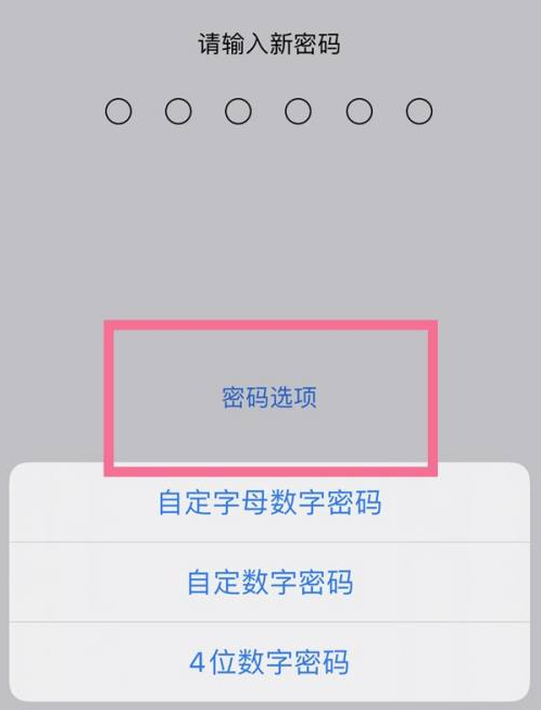 尉氏苹果14维修分享iPhone 14plus设置密码的方法 