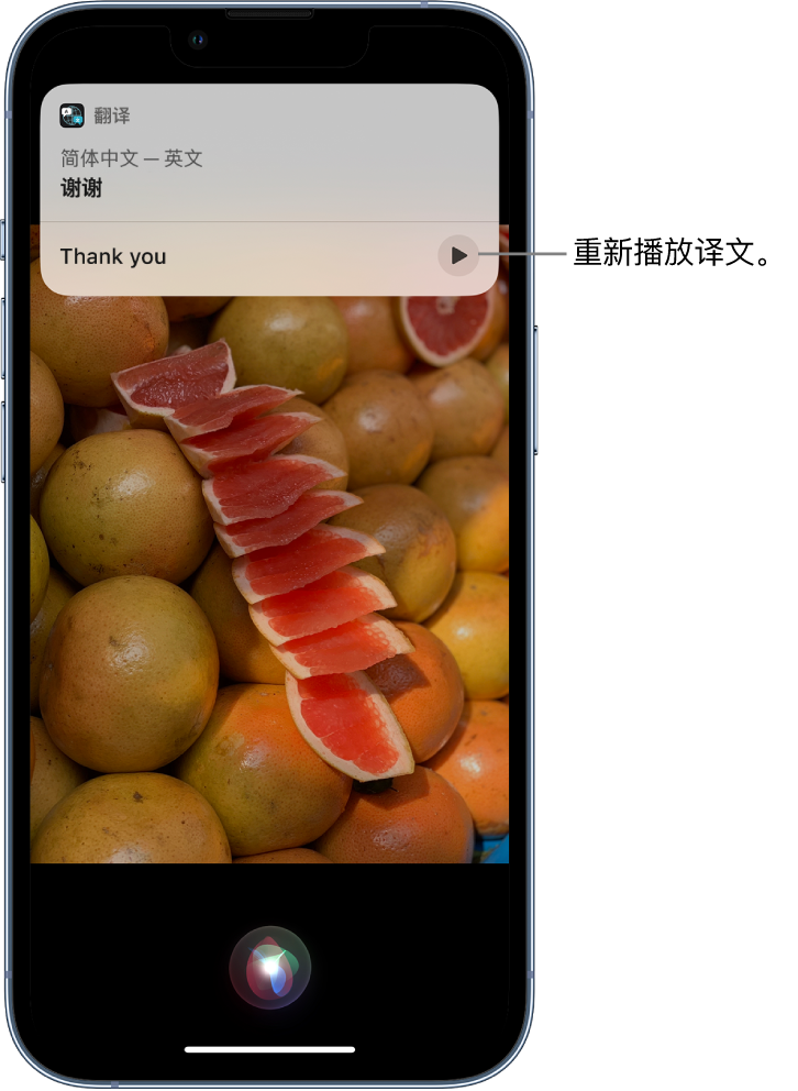 尉氏苹果14维修分享 iPhone 14 机型中使用 Siri：了解 Siri 能帮你做什么 