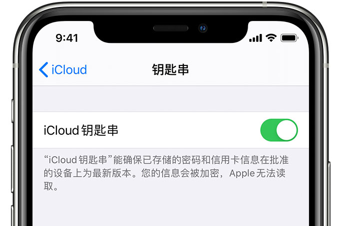 尉氏苹果手机维修分享在 iPhone 上开启 iCloud 钥匙串之后会储存哪些信息 