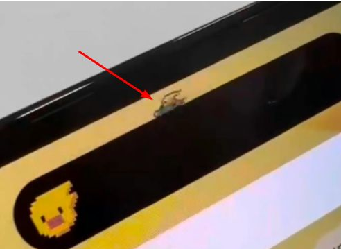 尉氏苹果14维修分享iPhone 14 Pro Max灵动岛怎么养宠物 